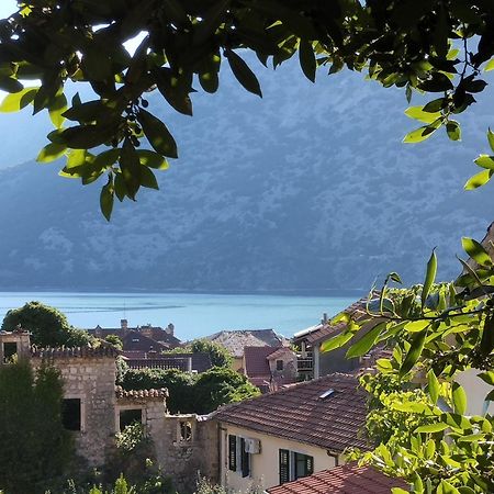 Apartments Montenegro Risan Cuckovic Bagian luar foto
