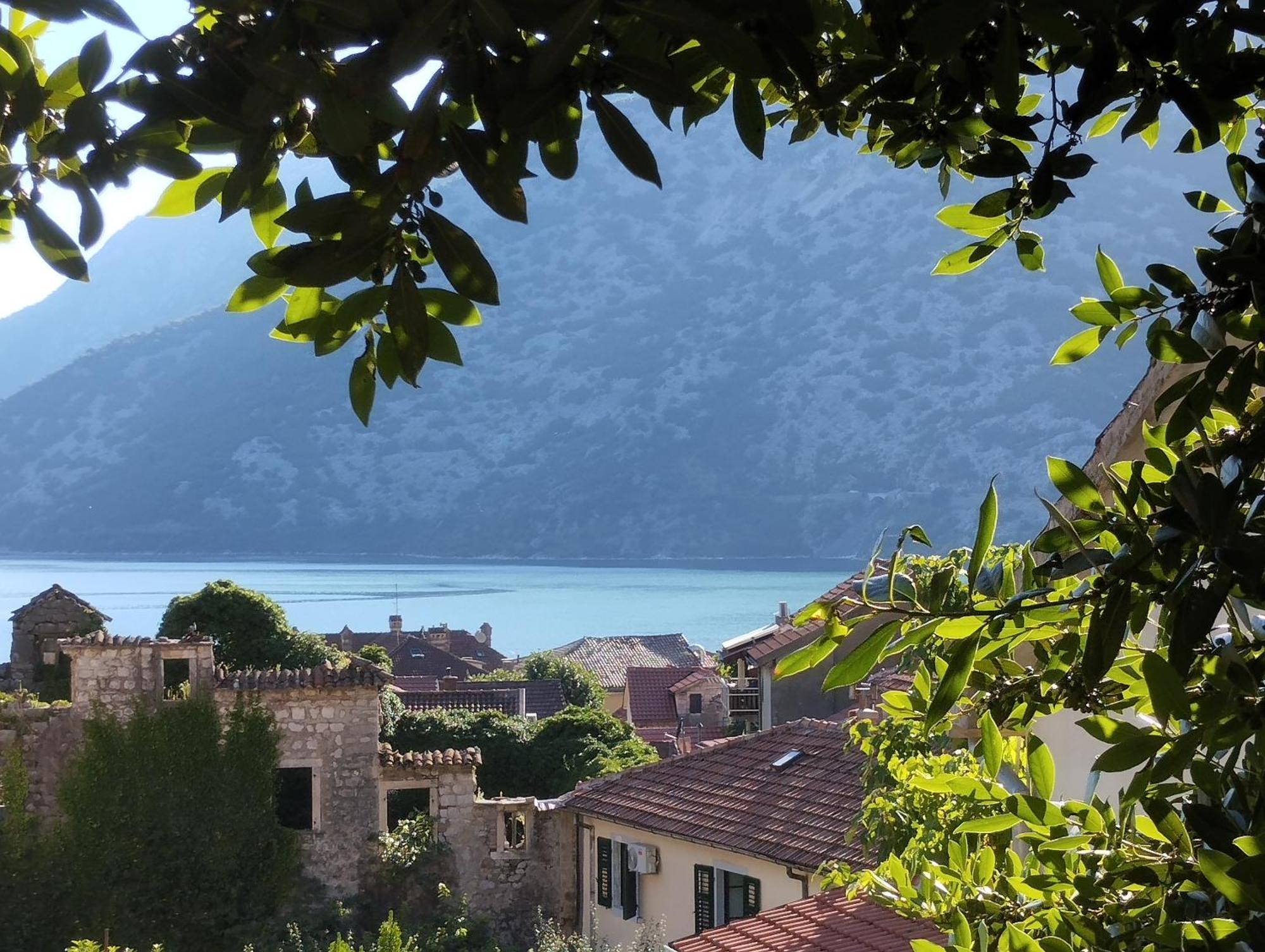 Apartments Montenegro Risan Cuckovic Bagian luar foto